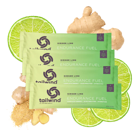 Endurance Fuel: Ginger Lime Limited Edition